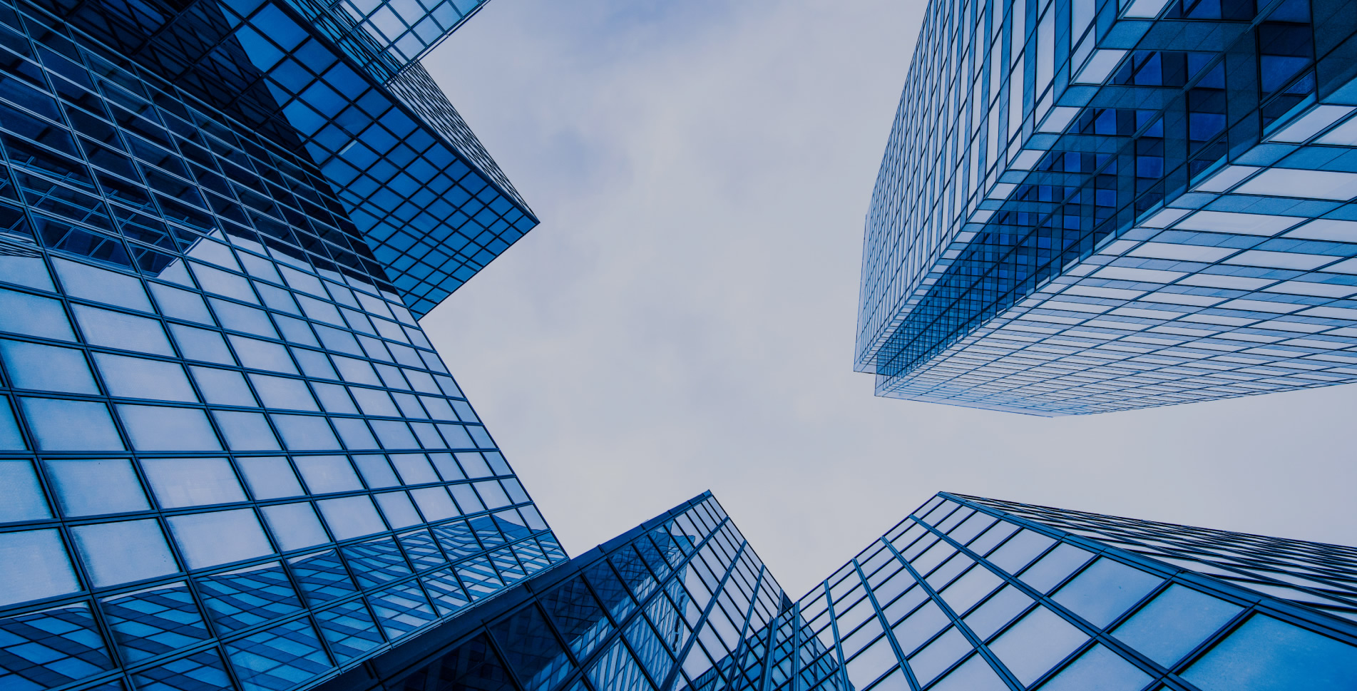 44512312041703303201